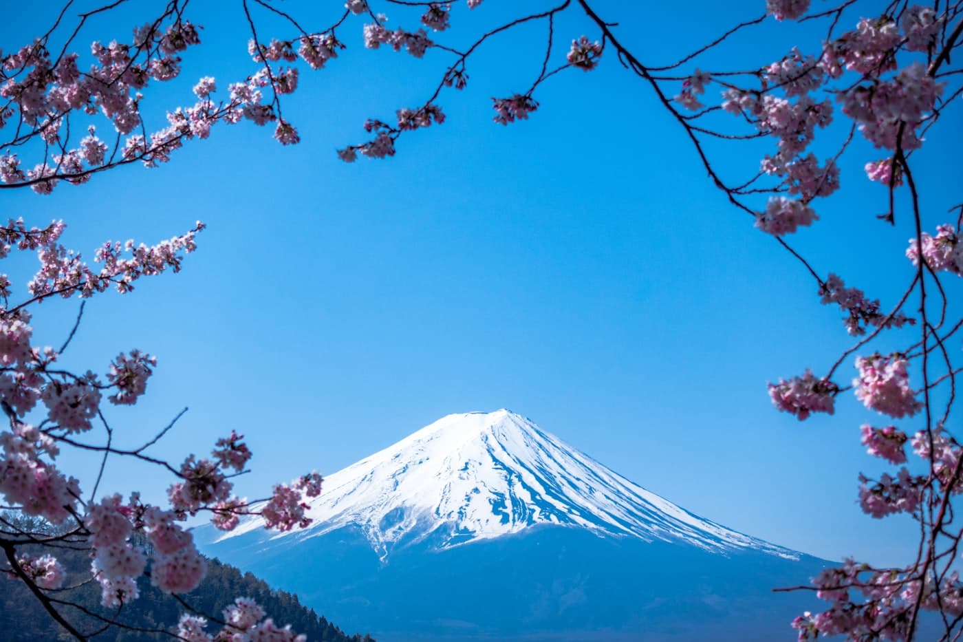 Mt. Fuji & Hakone Escape